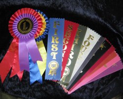 Place Ribbons & Rosettes